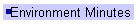 Environment Minutes