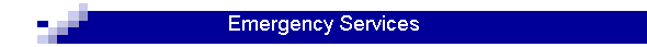 Emergency Services
